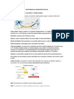 Fisioterapia Neurofuncional