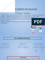 EL CUERPO HUMANO