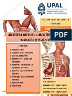 Exposicion Kinesioterapiai Anatomia