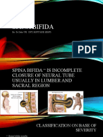 Spina Bifida: by DR - Zakir Uk DPT, MSPT MSK (Kmu)