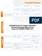 Identificación de Riesgos Laborales Del Personal Que Labora en La Empresa DISBIM SMART UP