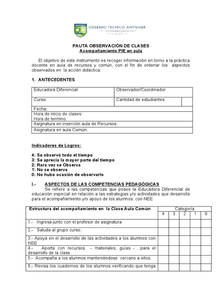 Pauta de Acompañamiento en Aula Pie | PDF | Maestros | Salón de clases