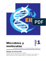 ADNexperiencias Piolas