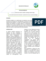 Informe 5 COMPLETO