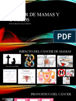 Cáncer de mamas y ovarios