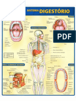 03 - Resumão Medicina - Sistema Digestório