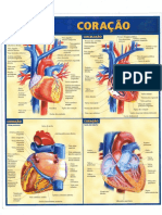 09 - Resumão Medicina - Coração