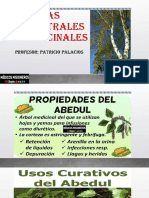 Plantas Ancestrales y Medicinales Clase 2 ACTUAL