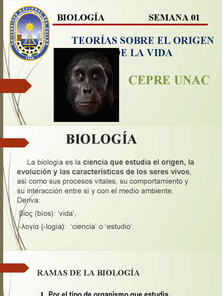 Teorías del Origen de la Vida en Biología | PDF | Evolución | Biología