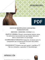 NEUROANATOMIA materia 4