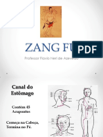 Zang Fu - Estômago e Intestino Delgado