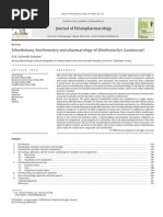 Download Minthostachys spp by full_level SN58997729 doc pdf