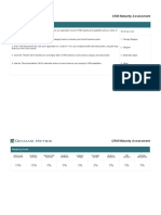 CRM Maturity Assessment: Instructions