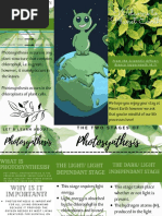 Photosynthesis Brochure