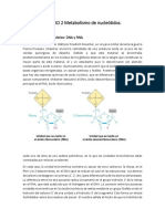 UNIDAD 2 Metabolismo de Nucleótidos