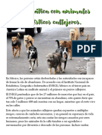 Propuesta de Tema - Animales Callejeros - Víctor Alatorre