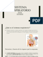 Sistema Respiratorio