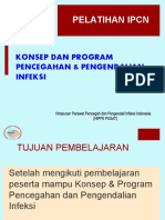 Konsep & Program Ppi Format Ipcn (Nela)