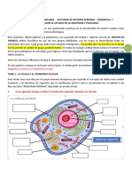 Curso Anatomía y Fisiología