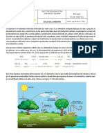 Guia Ciclo Carbono