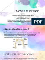 Sistema Oseo Superior