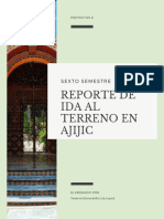 Reporte de Ajijic