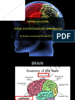 1.2 Otak, Ganglia Basalis, Serebelum