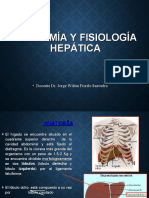 Aula 07 - Anatomia y Fisiología Hepática