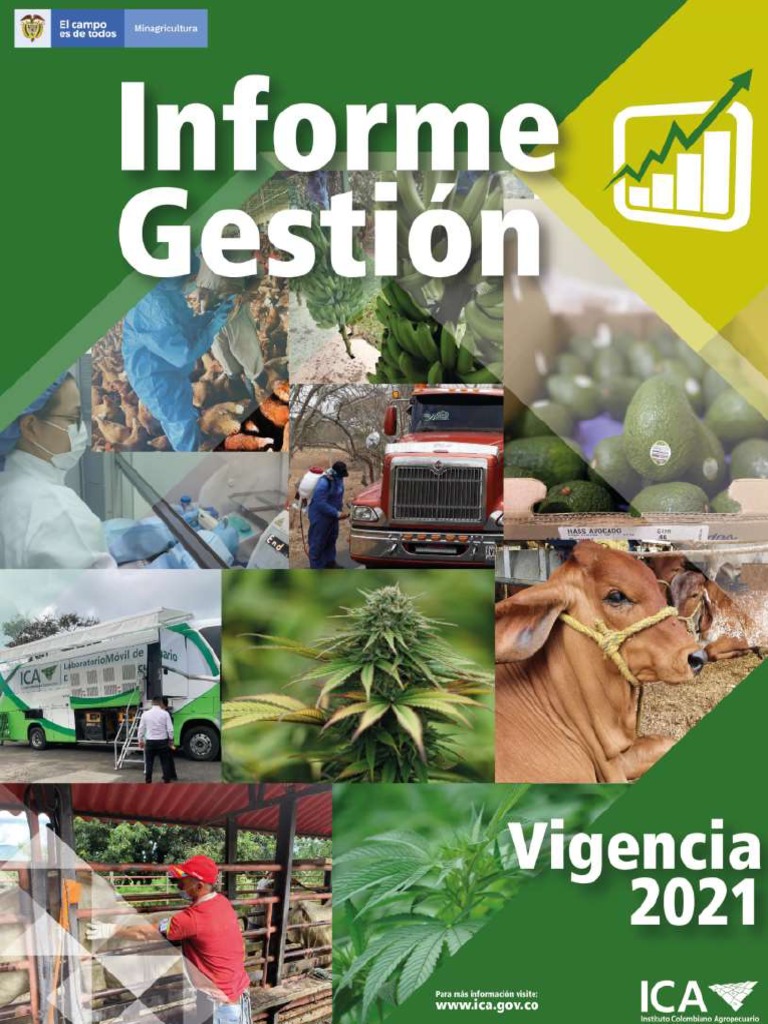 Informe de Gestion Ica 2021 | PDF | Planificación