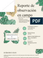 Reporte de Investigacion de Campo