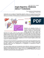 Fisiopatología Digestiva - Síndrome Icterico y Colestasia