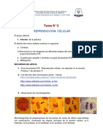 Tarea 6