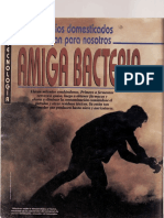 Amiga Bacteria