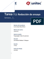 Tarea 7.1 Redaccion de Ensayo