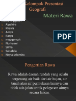 Geografi Rawa