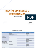 Cuadro Comparativo de Criptogamas