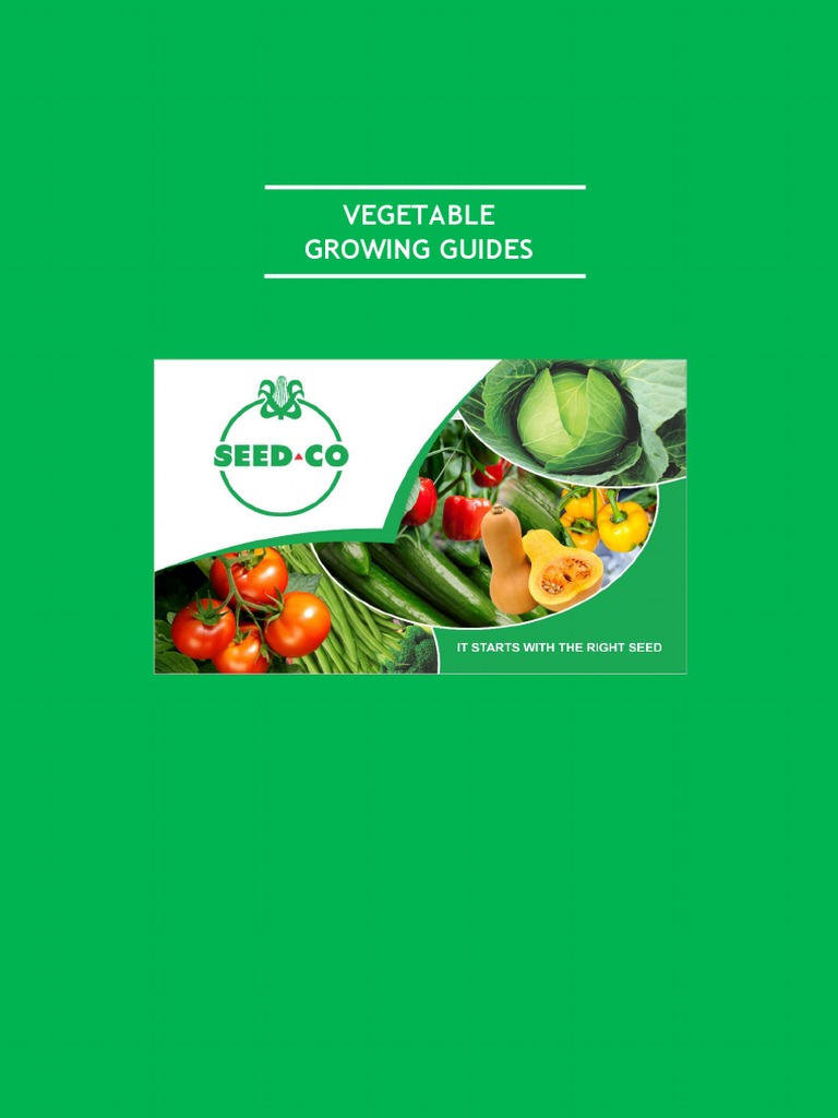 Vegetable Production Guides Prime Seedco Booklet (2020) PDF Soil