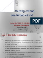 2 Ton Thuong Co Ban Cua Te Bao Va Mo (VTNDIEM) RHM2020
