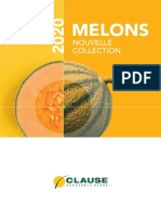 Clause Brochure Melons 2020