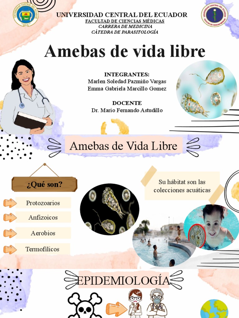 Amebas de Vida Libre: Epidemiología y Patología | PDF | Microbiología ...