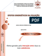 Aula 5 Efeitos Sinergeticos Da Poluição