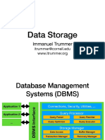Data Storage: Immanuel Trummer