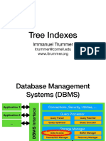 Tree Indexes: Immanuel Trummer