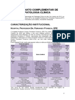 4-Internato Complementar Caracterização Institucional Final Elzara2