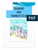 Membrana Transport Endocitoza