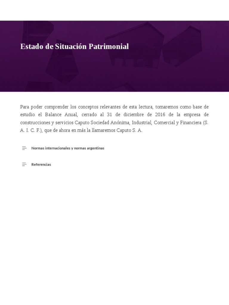 Estado de Situación Patrimonial | PDF | Contabilidad | Hoja de balance