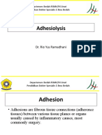 Adhesiolysis: Dr. Rio Yus Ramadhani