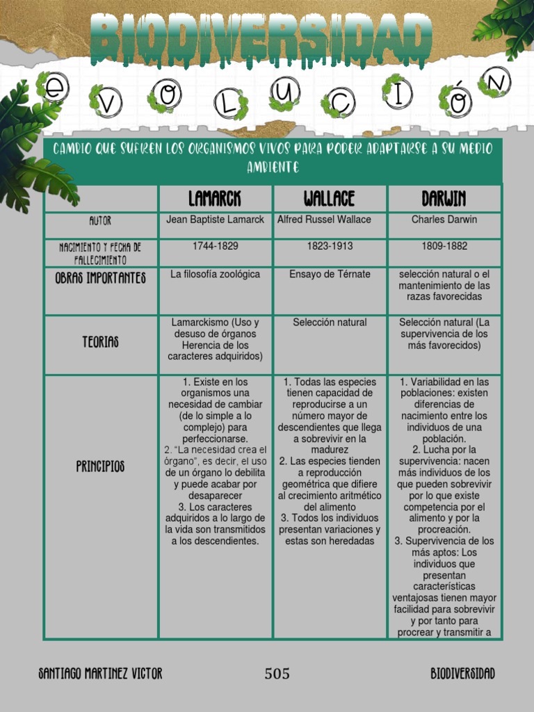 Teorías de la Evolución y Adaptación | PDF | Evolución | Seleccion natural