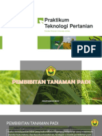 Acara 2 Pembibitan Tanaman Padi