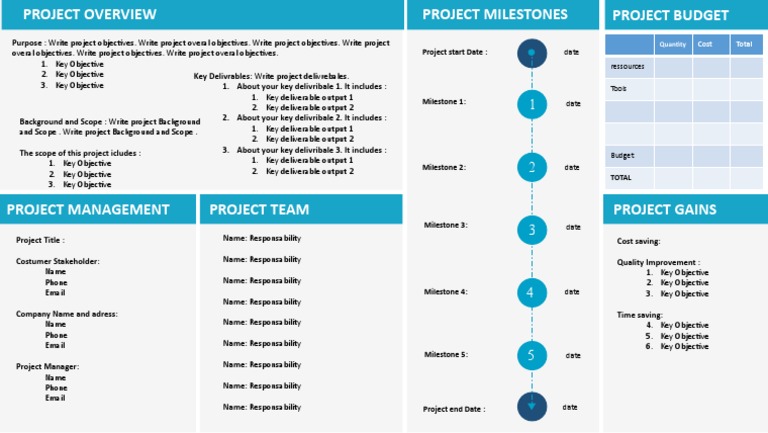 Project Overview and Milestones Guide | PDF | Project Management | Business